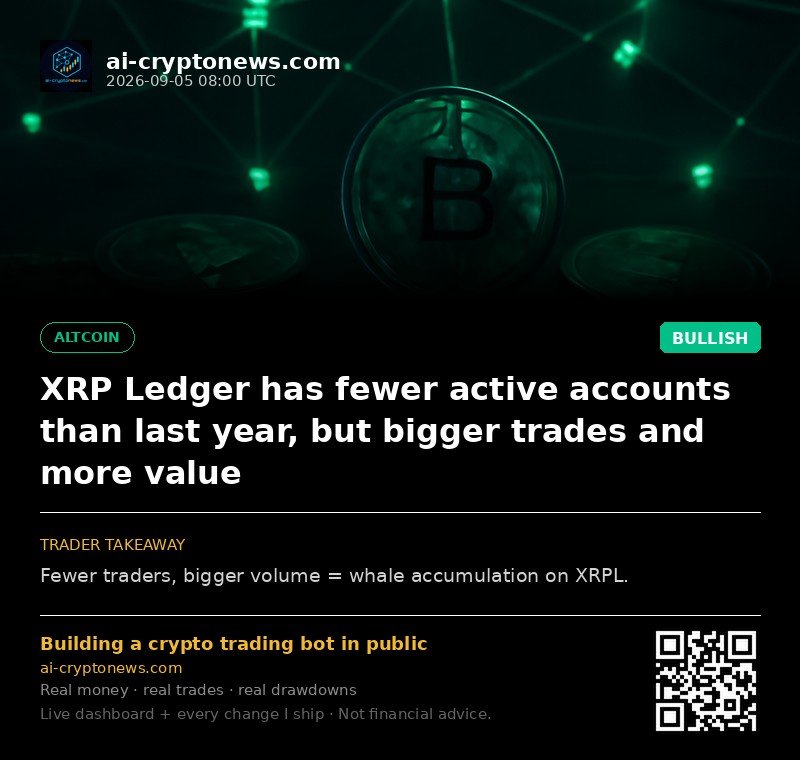 XRP Ledger has fewer active accounts than last year, but bigger trades and more value